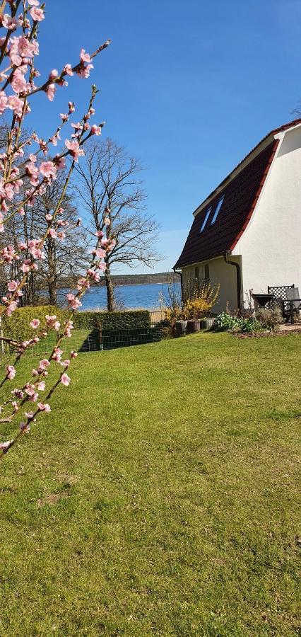 Villa Seeschwalbe Plau Плау ам Зее Екстериор снимка